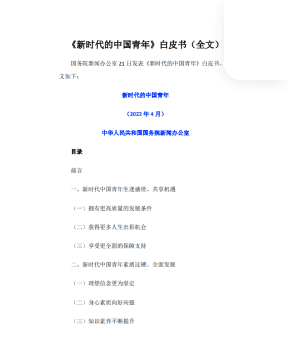 白皮书