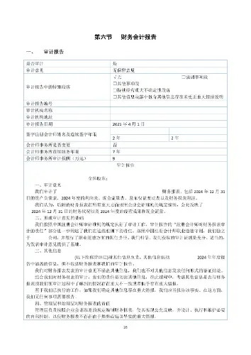 上市公司财务报表示例