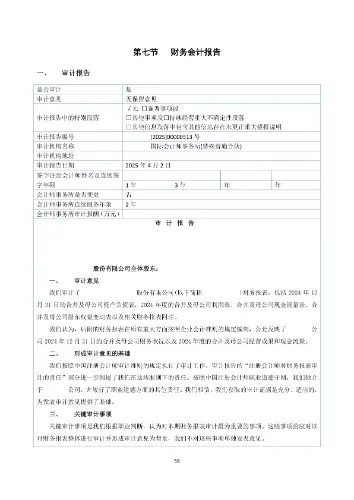 财务会计报告示例